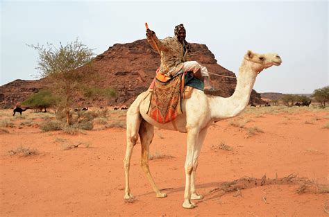 saudi arabia imports camels from what country